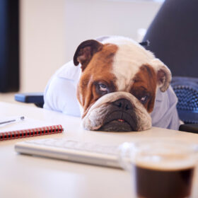 稼働少なくてごめん